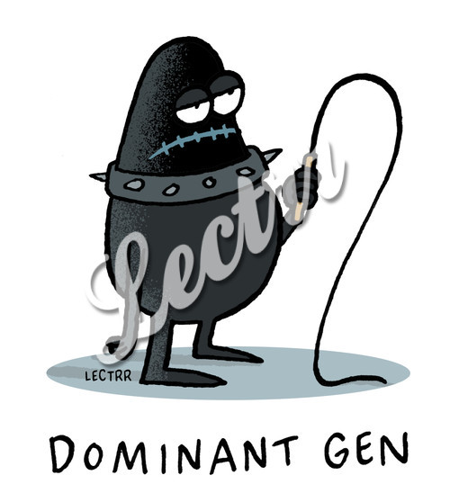 KNOKKE_dominant_gen.jpg