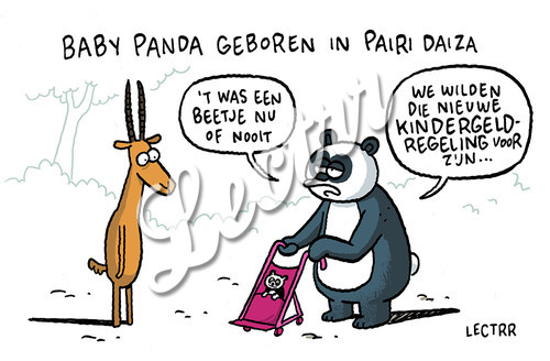 ST_panda_pairi_daiza_geboren.jpg