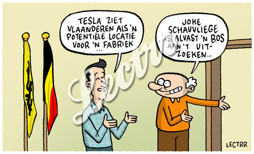 ST_tesla_schauvliege.jpg