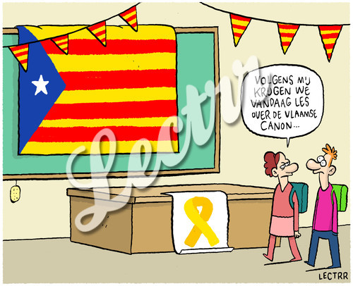 ST_vlaams_nationalisten_catalonie.jpg