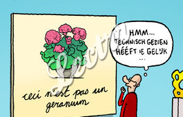 OM_geraniums_NL.jpg